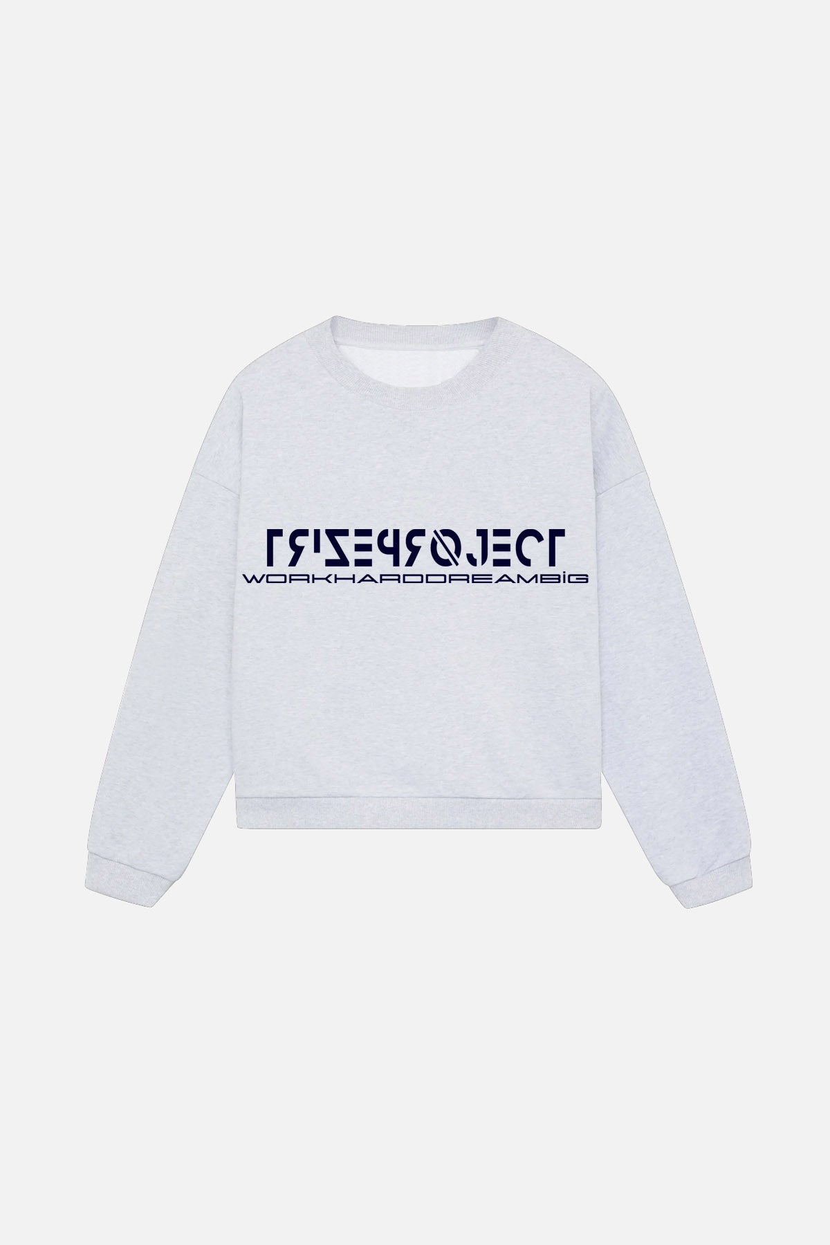 SWEATSHIRT GRAY TRIZEPROJECT